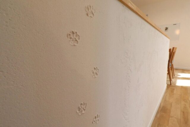 sites/11/2025/03/13-e1742808338994.jpgの画像