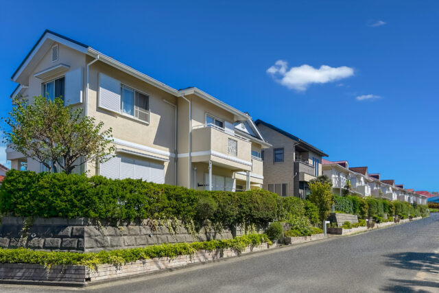 sites/11/2025/10/5bddb3fe08383cd4d911f2b109656421-scaled-e1761466162782.jpgの画像