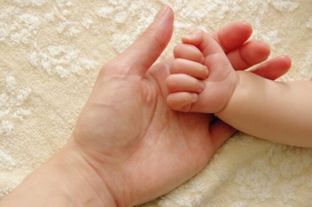 sites/11/2025/12/1-e1766104696958.jpgの画像