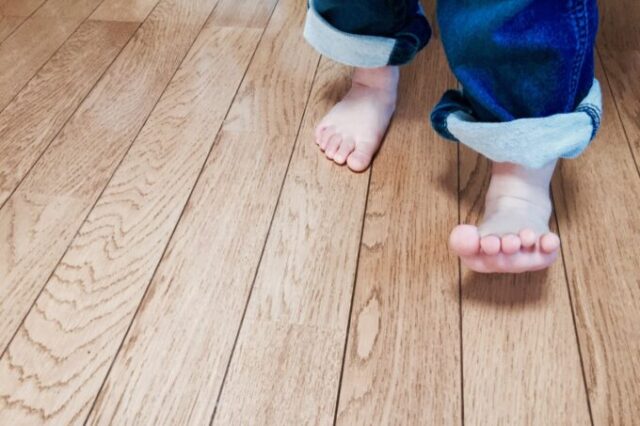 sites/11/2025/12/2-e1766104689756.jpgの画像