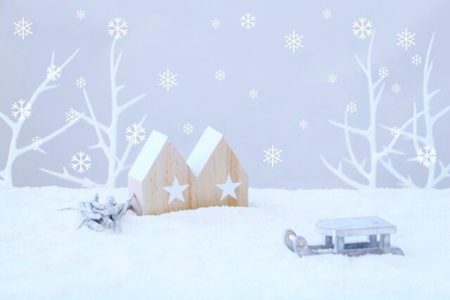 sites/11/2026/02/143c8561cfa9d16dd3976007e18b14b6-e1772070888581.jpgの画像