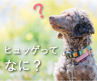 What is HYGGEの画像