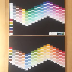 ドミナントカラーの画像
