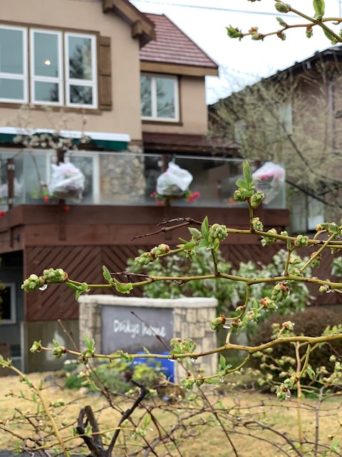 sites/5/2019/04/1-2.jpgの画像
