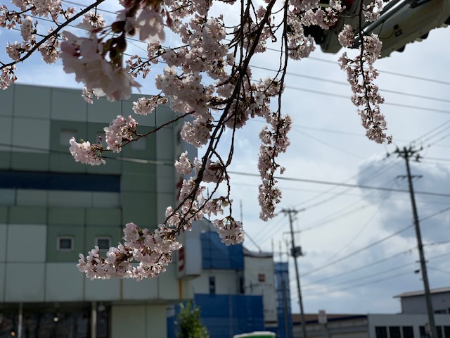 sites/5/2019/04/10.jpgの画像