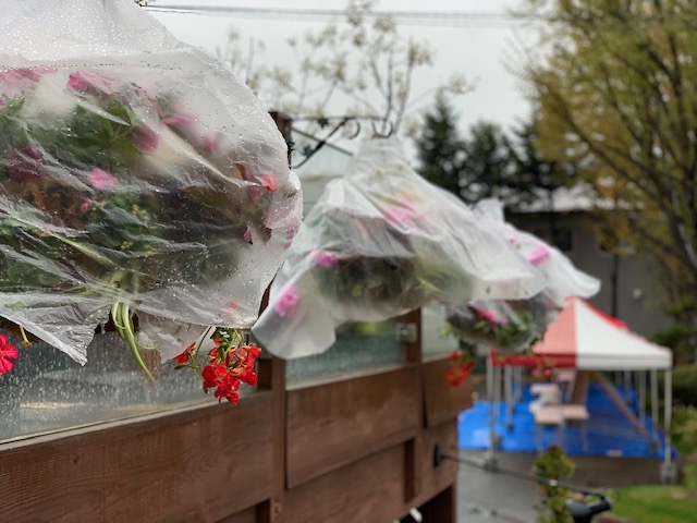 sites/5/2019/04/3-1.jpgの画像