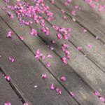 10の画像