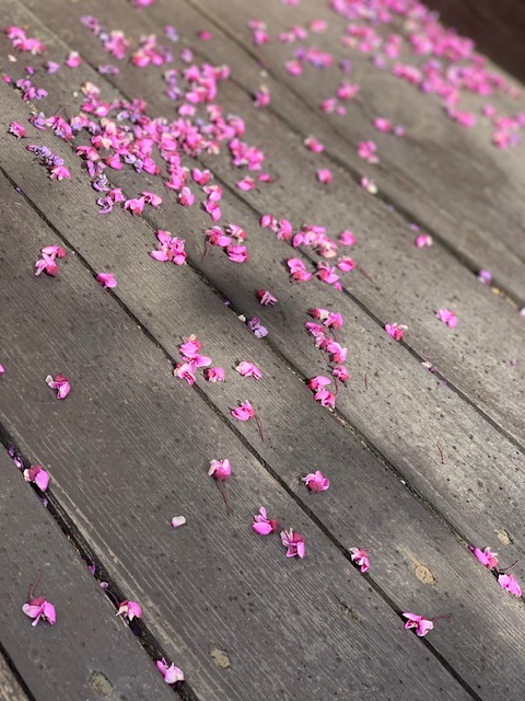 10の画像