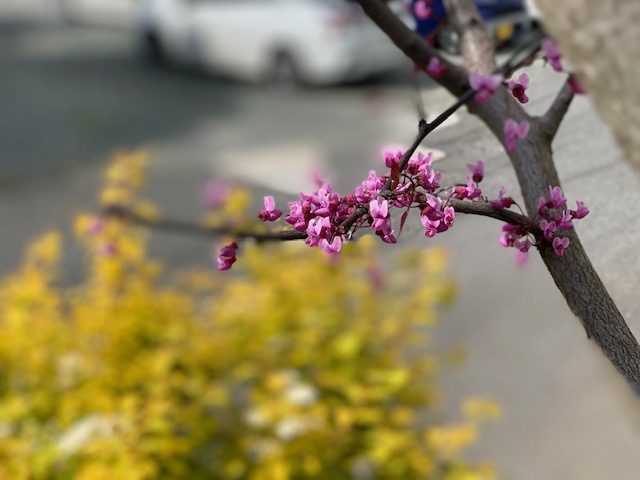 sites/5/2019/05/11-1.jpgの画像