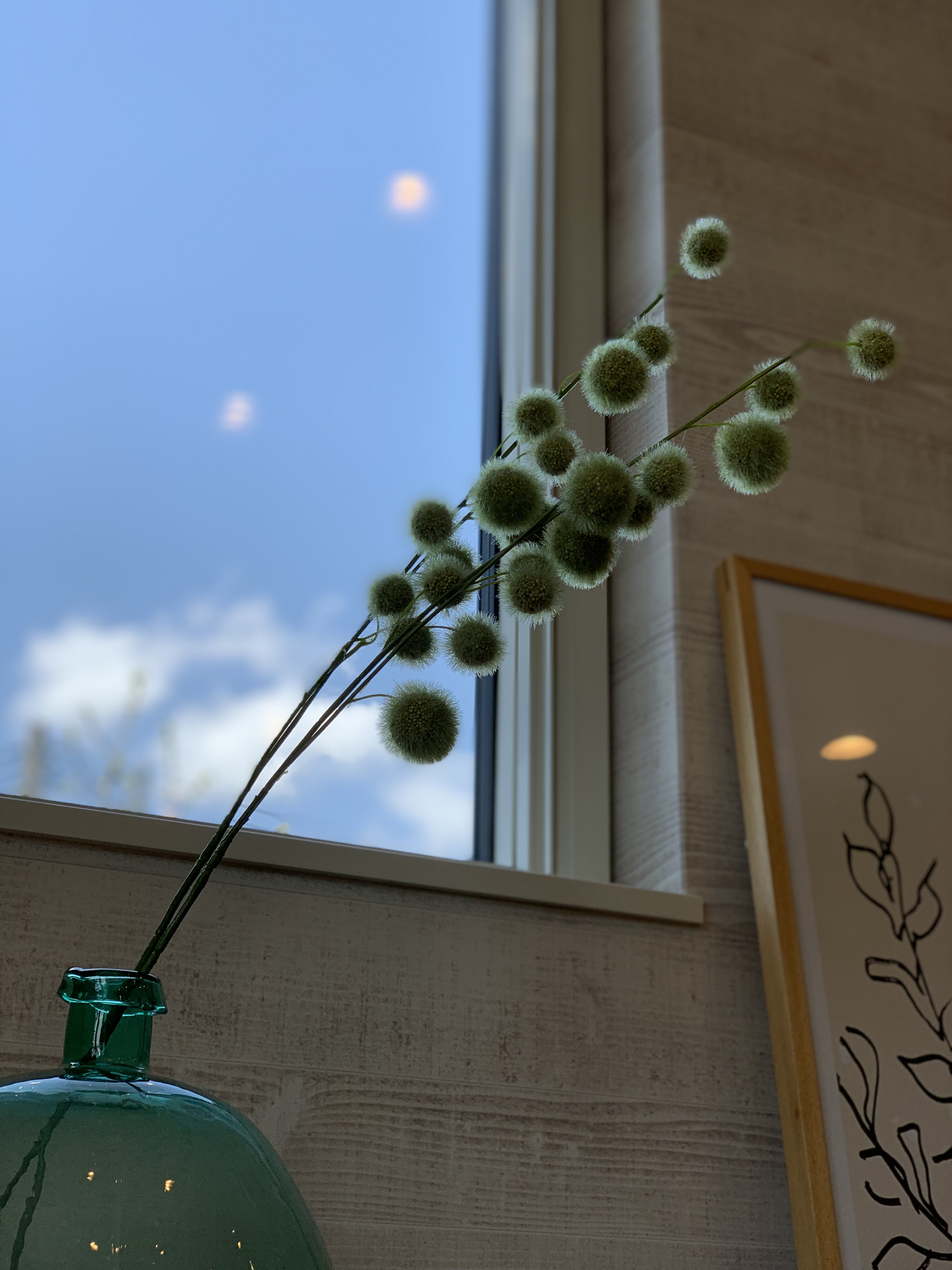 sites/5/2019/05/4.jpgの画像
