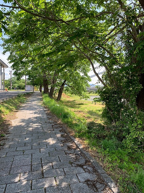 sites/5/2019/06/01.jpgの画像