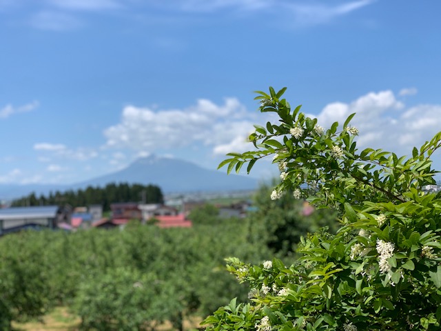 sites/5/2019/06/11-4.jpgの画像