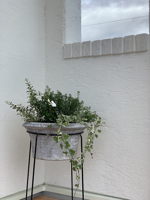sites/5/2019/06/2-3.jpgの画像