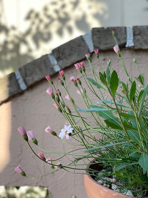 sites/5/2019/06/4.jpgの画像