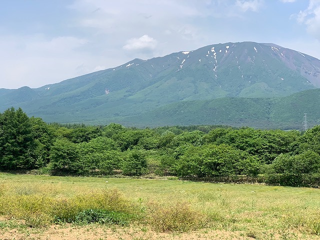 sites/5/2019/06/9-1.jpgの画像