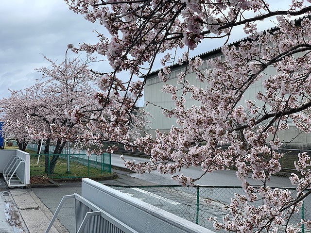 １の画像