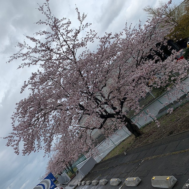sites/5/2020/04/2-1.jpgの画像