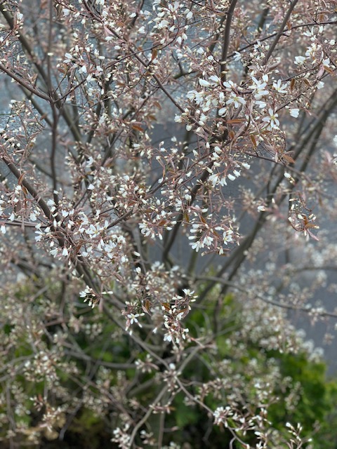 sites/5/2020/05/13.jpgの画像