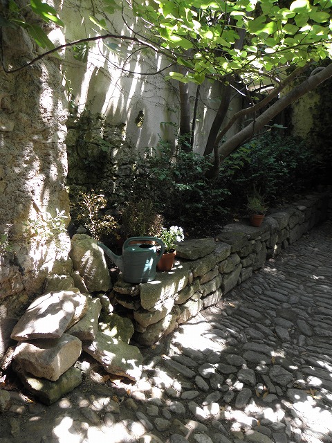 sites/5/2020/05/15.jpgの画像