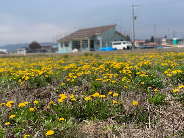 sites/5/2020/05/6.jpgの画像