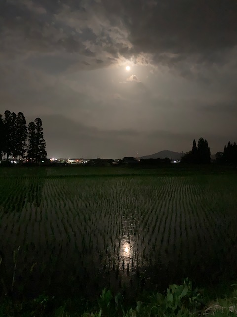 sites/5/2020/06/35.jpgの画像