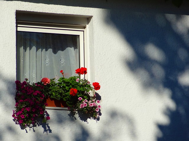 sites/5/2020/11/1.jpgの画像