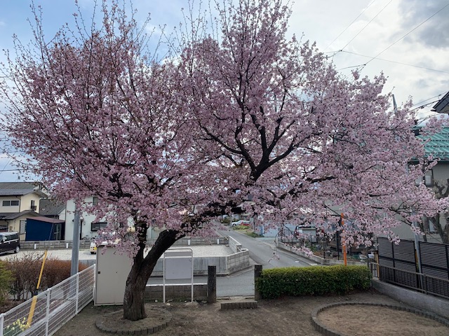 sites/5/2021/04/10.jpgの画像