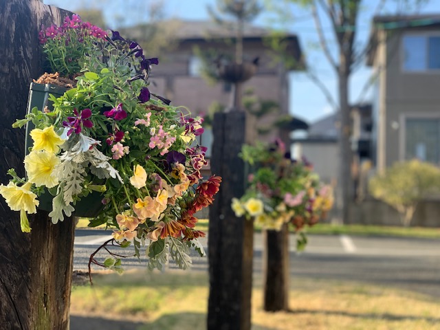 2の画像