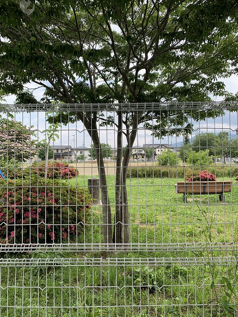 sites/5/2021/06/7.jpgの画像