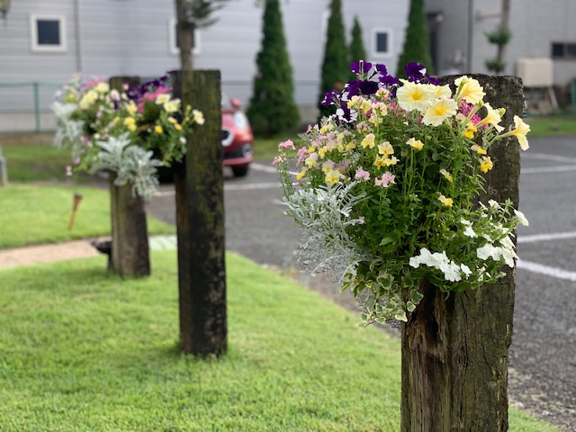 sites/5/2021/07/5b398eeaa9d4e5cbd78497cfa5d68afd.jpgの画像