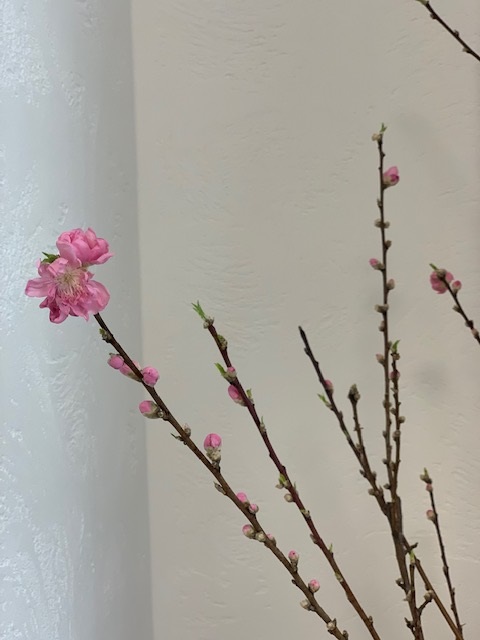 4の画像