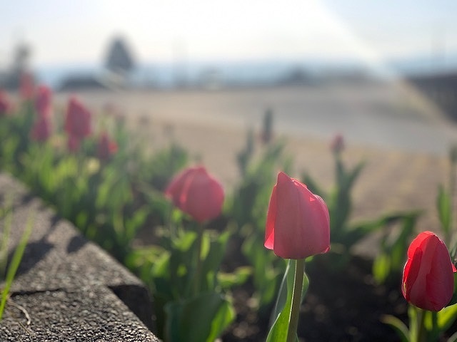 sites/5/2022/04/7.jpgの画像