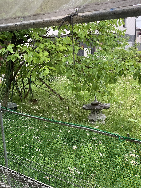 sites/5/2022/05/4-2.jpgの画像