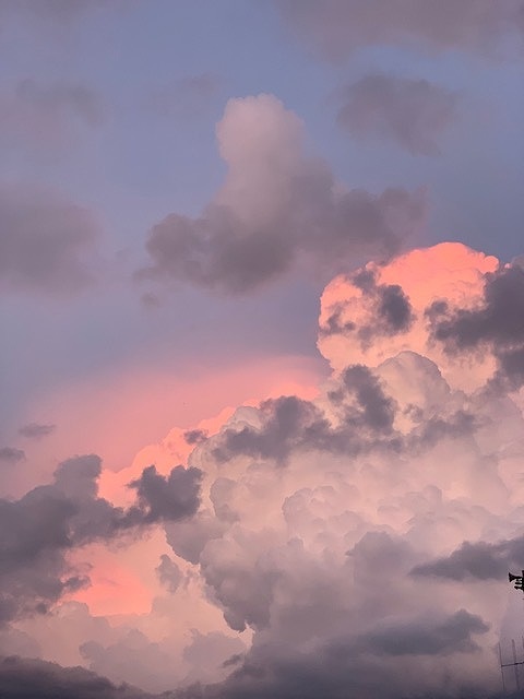 sites/5/2022/06/12.jpgの画像