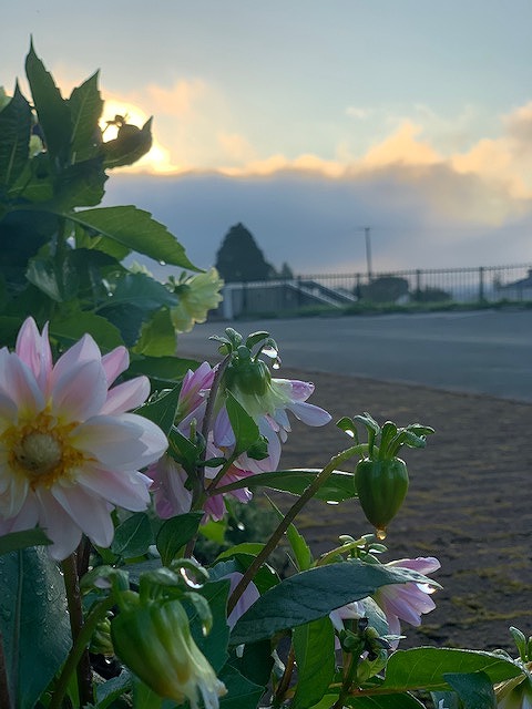 sites/5/2022/08/4.jpgの画像