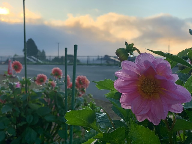 sites/5/2022/08/5.jpgの画像