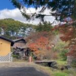 sites/5/2022/10/image2-150x150.jpegの画像