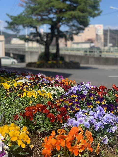 sites/5/2023/04/49ef72b19c9b2addea8db508ca9b00b7.jpgの画像
