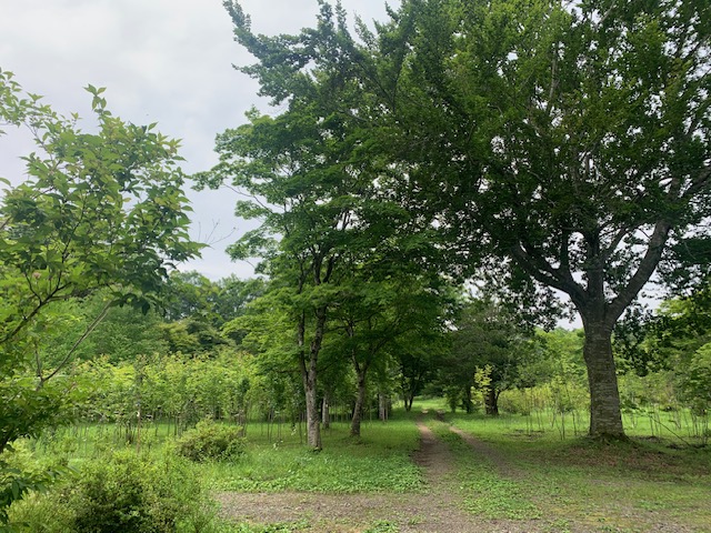 sites/5/2023/07/1.jpgの画像