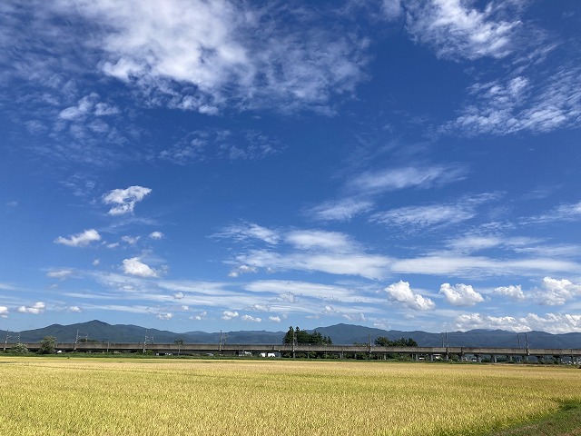 sites/5/2023/09/IMG_3487.jpgの画像