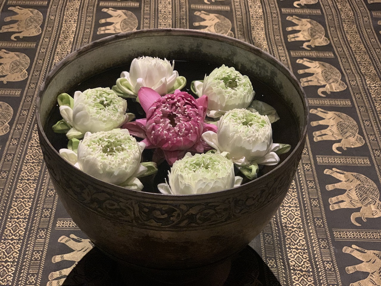 sites/5/2023/10/23.jpgの画像