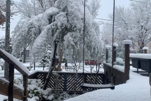 八幡平市大更にて見学会を開催