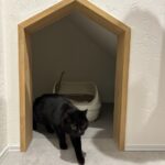 中堤町　猫　トイレ2の画像