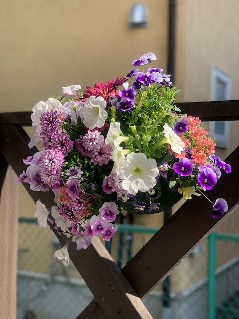 sites/5/2024/04/11-1.jpgの画像