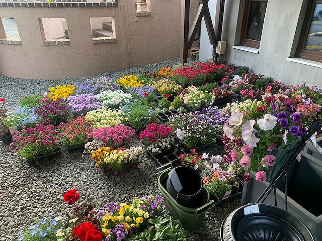 sites/5/2024/04/7-2.jpgの画像