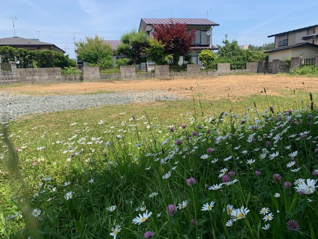 sites/5/2024/06/da08479581968d2308da7b3df64abe22.jpgの画像