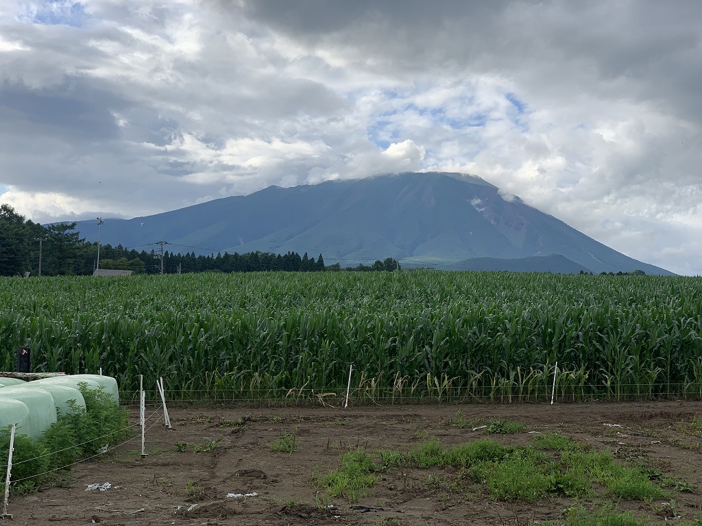 sites/5/2024/07/2-1.jpgの画像
