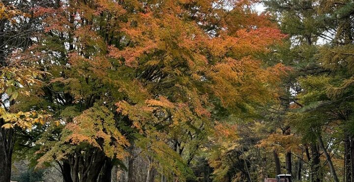 温かな家で岩手の冬を愉しむ暮らしの画像