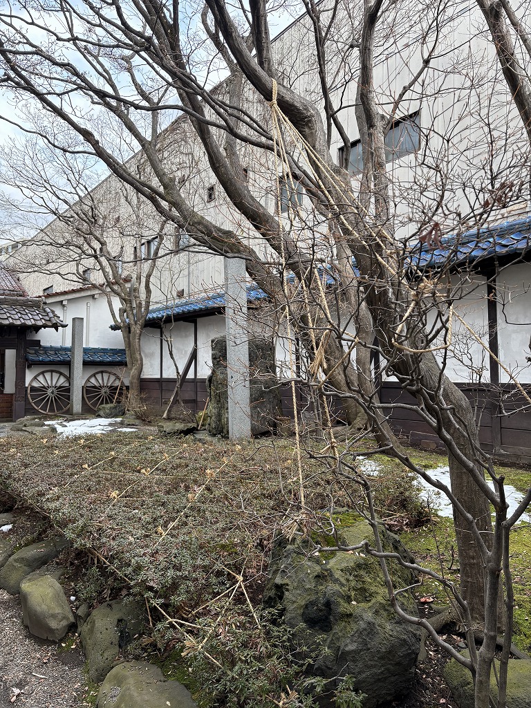 sites/5/2025/01/6.jpgの画像