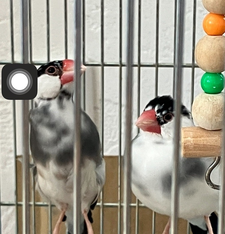 sites/5/2025/02/20cfce153c6dcbd30dc35695758066ae.jpgの画像